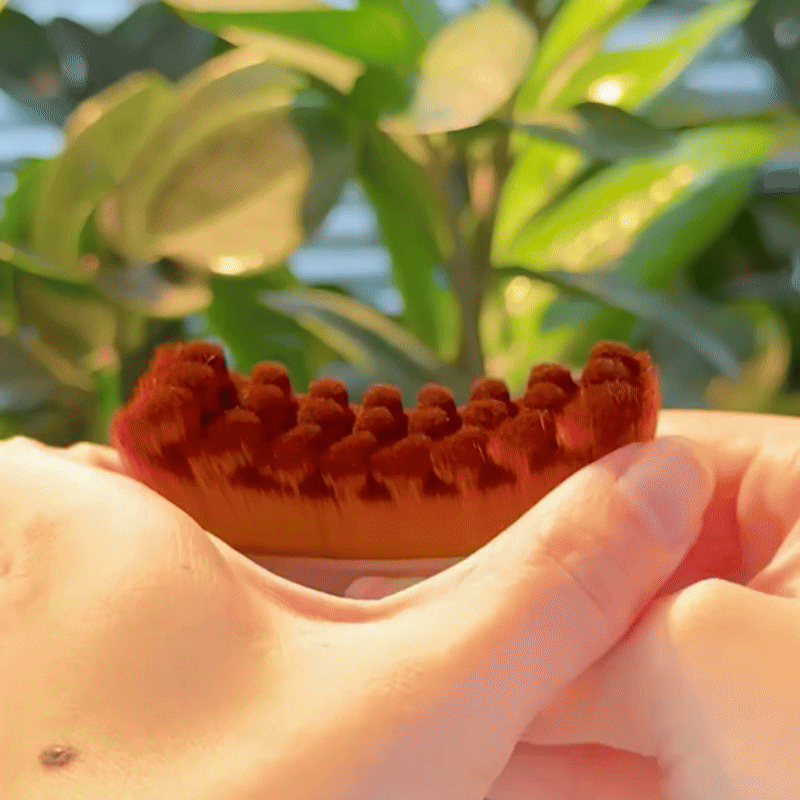 Lymphatic Contour Face Brush