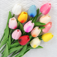 Pack of 12