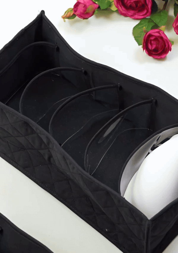 Elegant Innerwear Organizer (6 & 8 Compartment Storage)