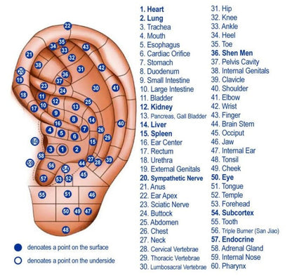 Ear Acupuncture Kit Auricular Massage Seeds