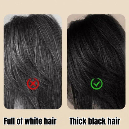 Root Touch Up Comb Stick for Gray Hair